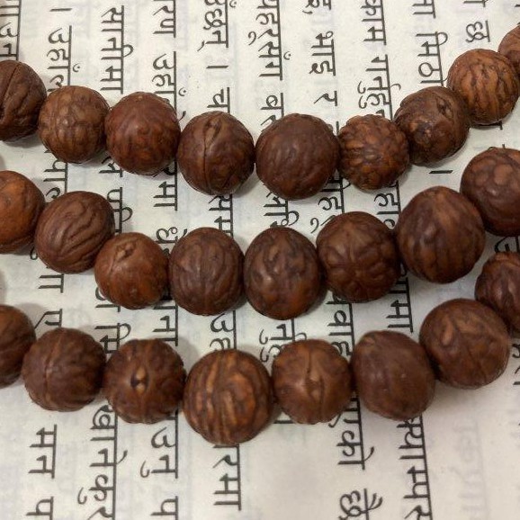 Chuỗi tràng 108 hạt bồ đề Raktu tự nhiên Nepal 8mm nâu - Nepali Handmade Natural Brown Raktu 8mm Mala