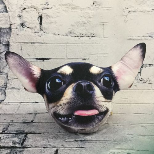Gối 3D Chó Chihuahua