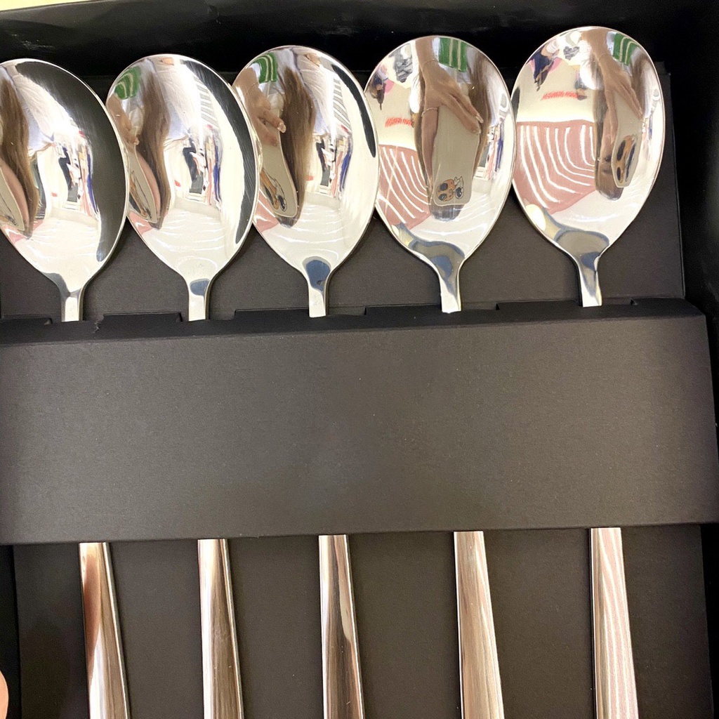 Set 5 thìa inox 304 nội địa Đức sang trọng kèm vỏ hộp cao cấp, , FULLBOX. Bộ 5 muỗng inox Zwlling siêu to hàng xuất Đức