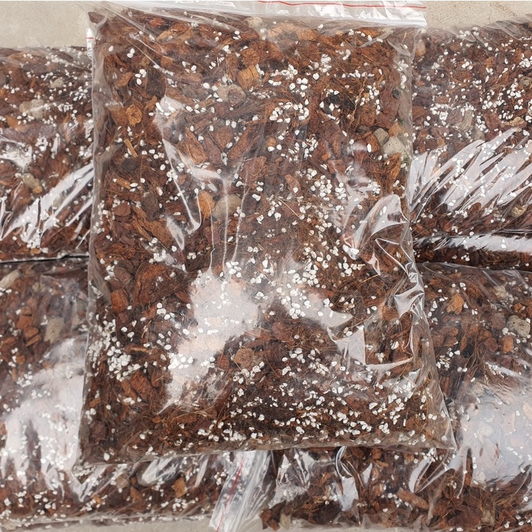 Giá thể kiểng lá cao cấp 2kg thông thoáng cho rễ phát triển chuyên dụng trồng cây kiểng lá cây cảnh indoor