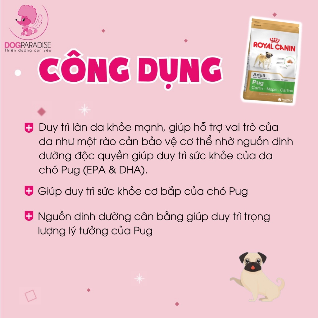 Thức ăn cho chó pug Royal Canin Pug Adult duy trì trọng lượng lý tưởng túi 500g - Dog Paradise