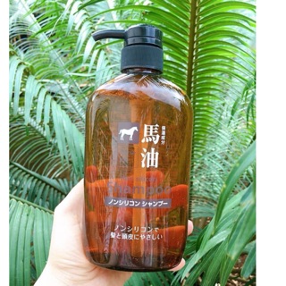 Dầu Gội Mỡ Ngựa Nhật Bản – 600ml