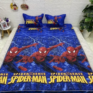 SÉT GA GỐI CHUN TRẦN COTTON POLY SIÊU NHÂN NHỆN