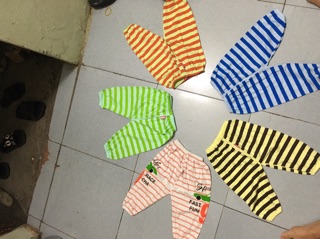 Combo sỉ  quần nỉ bông
