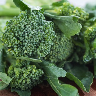 Hạt giống bông cải xanh - tặng thêm gói hạt giống ngẫu nhiên