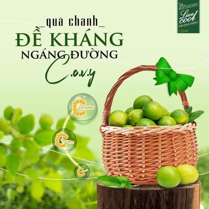 Bột Sủi Thanh Nhiệt Live Cool (Hương Chanh) dùng cho người nhiệt miệng nóng trong & mệt mỏi - Coastlinecare Pharmacy