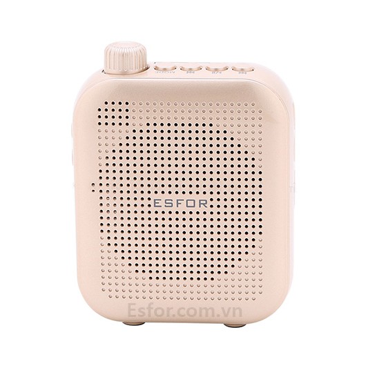 Máy trợ giảng Hàn Quốc ESFOR ES-350 Plus và ES-350 UHF, loa Bluetooth song song 2 Mic, Không dây