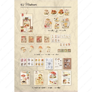 BỘ GIẤY VINTAGE JOURNAL | MDC214