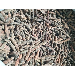 TIÊU DÀI-TIÊU LỐP-( long pepper )