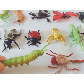 SET MÔ HÌNH CÁC CÔN TRÙNG SAFARI1