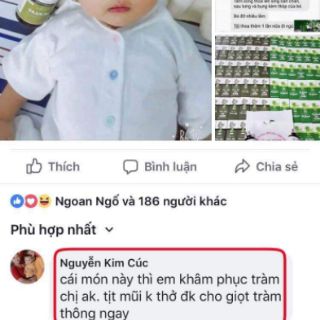 Tinh dầu tràm Huế