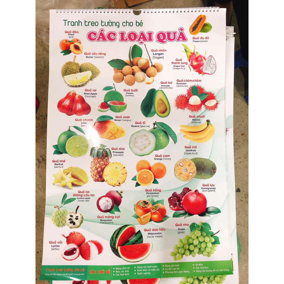💕𝑭𝑹𝑬𝑬𝑺𝑯𝑰𝑷 💕 Bộ Tranh Treo Tường Cho Bé 12 Chủ Đề