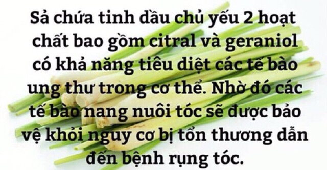 Túi lọc bồ kết bao bì mới giúp đen mượt tóc