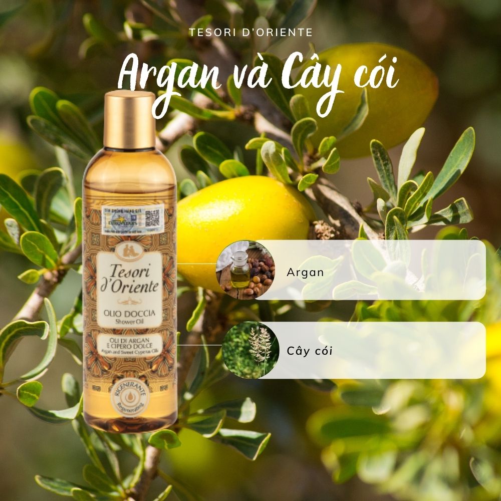 Tinh dầu tắm Tesori d'Oriente Argan và Cyperus - Argan & Cyperus Oils 250ml | BigBuy360 - bigbuy360.vn