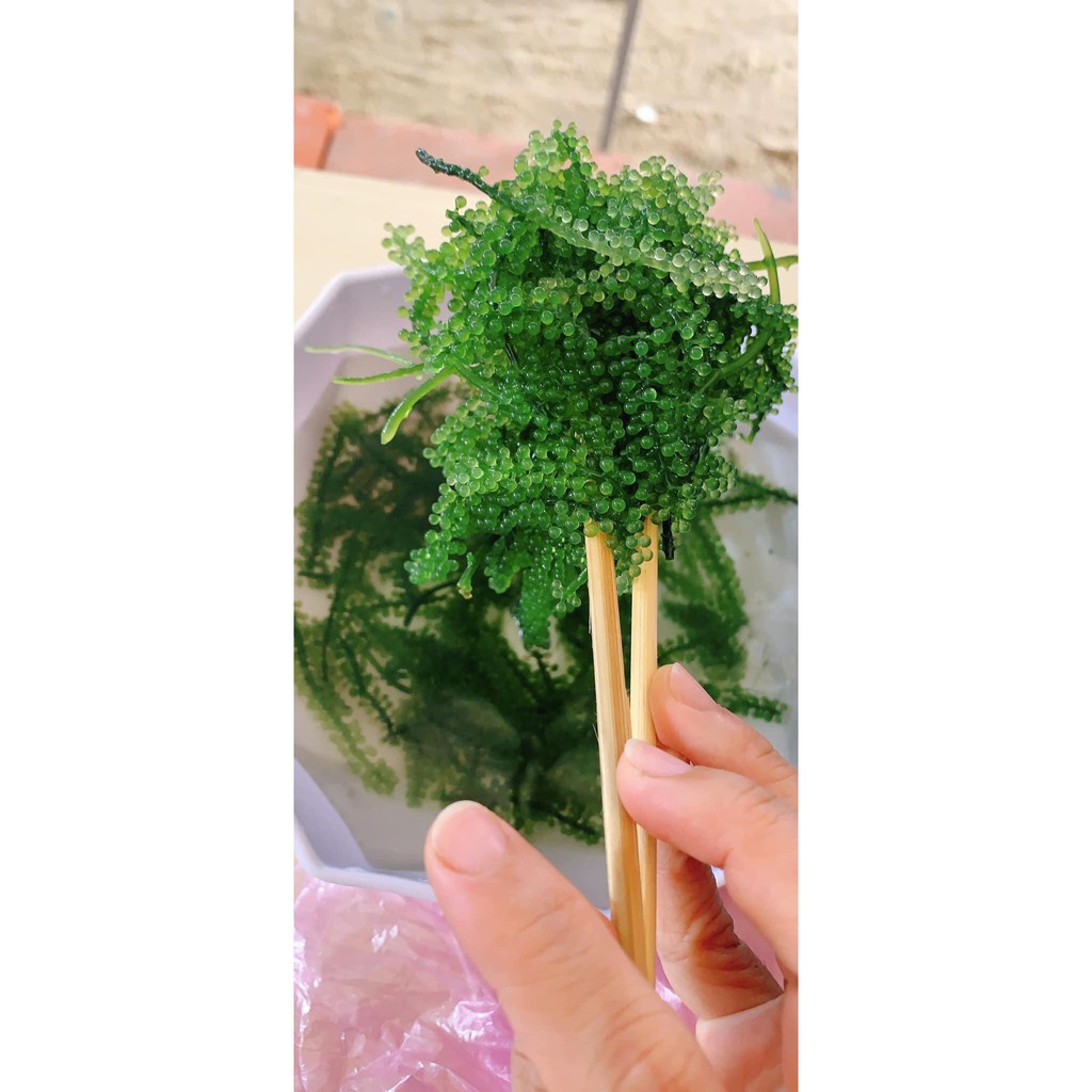 Nước sốt mè rang KEWPIE | BigBuy360 - bigbuy360.vn