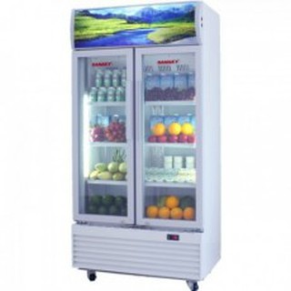 Tủ mát Sanaky VH-6009HP 600L