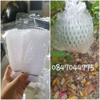 Xốp bọc ổi lồng sẵn giá rẻ 1kg giá 80k