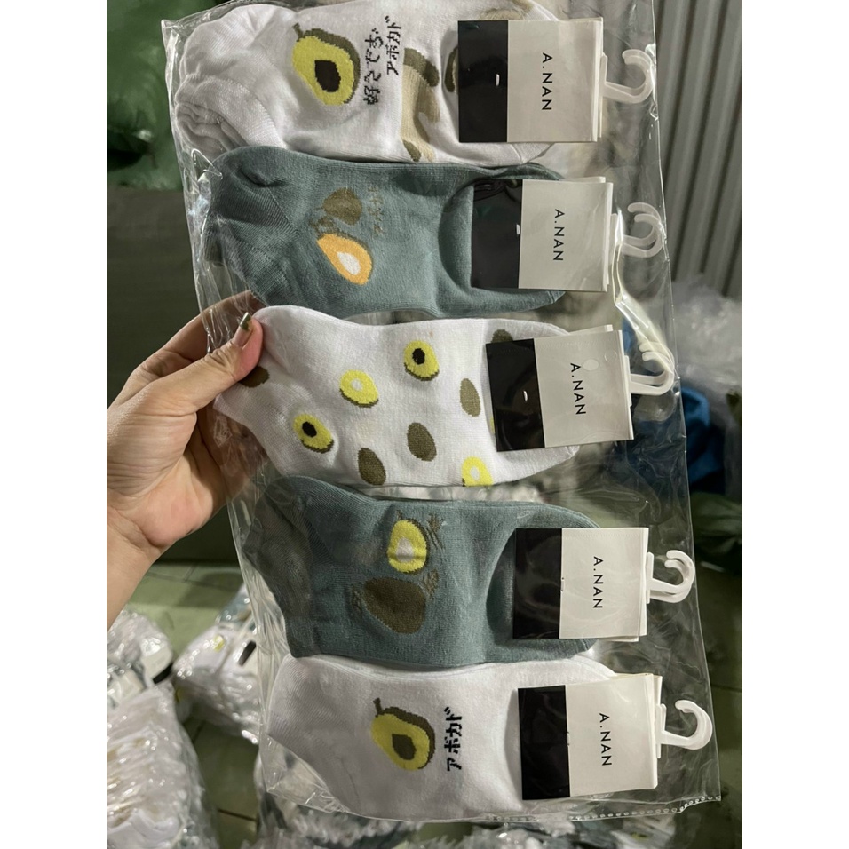 tất nữ cổ ngăn vớ nữ ngắn  hình quả bơ chất cotton co giãn chống hôi chân thấm hút mồ hồi loại 1 alida2010