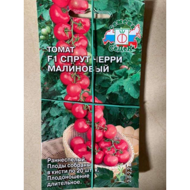 Hạt giống Cà Chua Cherry Leo Giàn