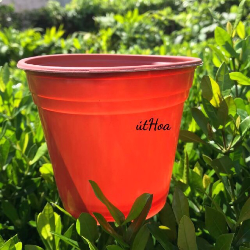 Chậu nhựa nâu N12 size nhỏ