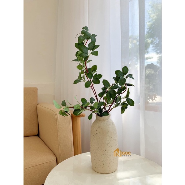 Bình gốm có quai