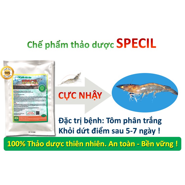 Chế phẩm thảo dược SPECIL đặc trị bệnh phân trắng trên Tôm