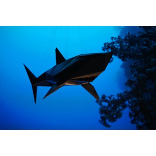 Cá mập 3D - Mô hình giấy