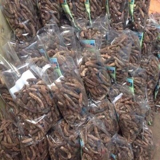 Chuối hột rừng