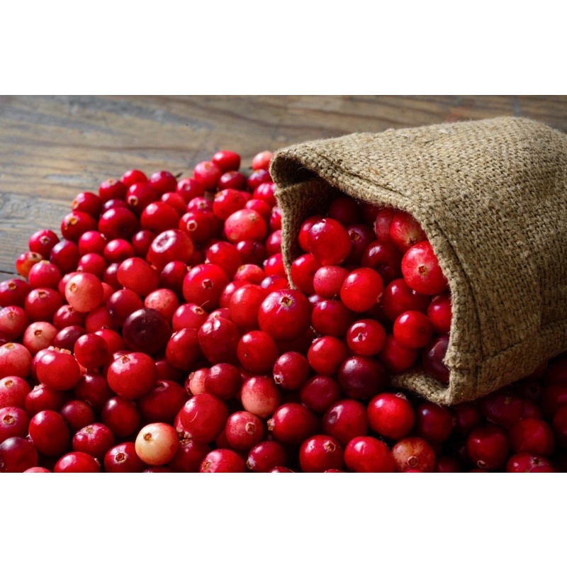 Nam Việt Quất Sấy Khô Only Nature túi 120g