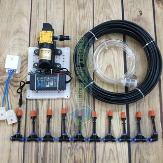 Bộ tưới Phun sương tự động 10 béc cam- kèm Công tắc điều khiển wifi [BƠM NGUỒN LẮP SẴN BẢNG ĐIỆN]