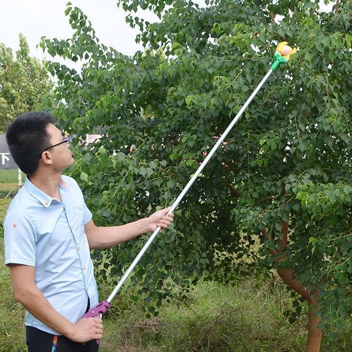Dụng Cụ Hái Quả, Thu Hoạch Trái Cây Trên Cao 1.5M- NNTM