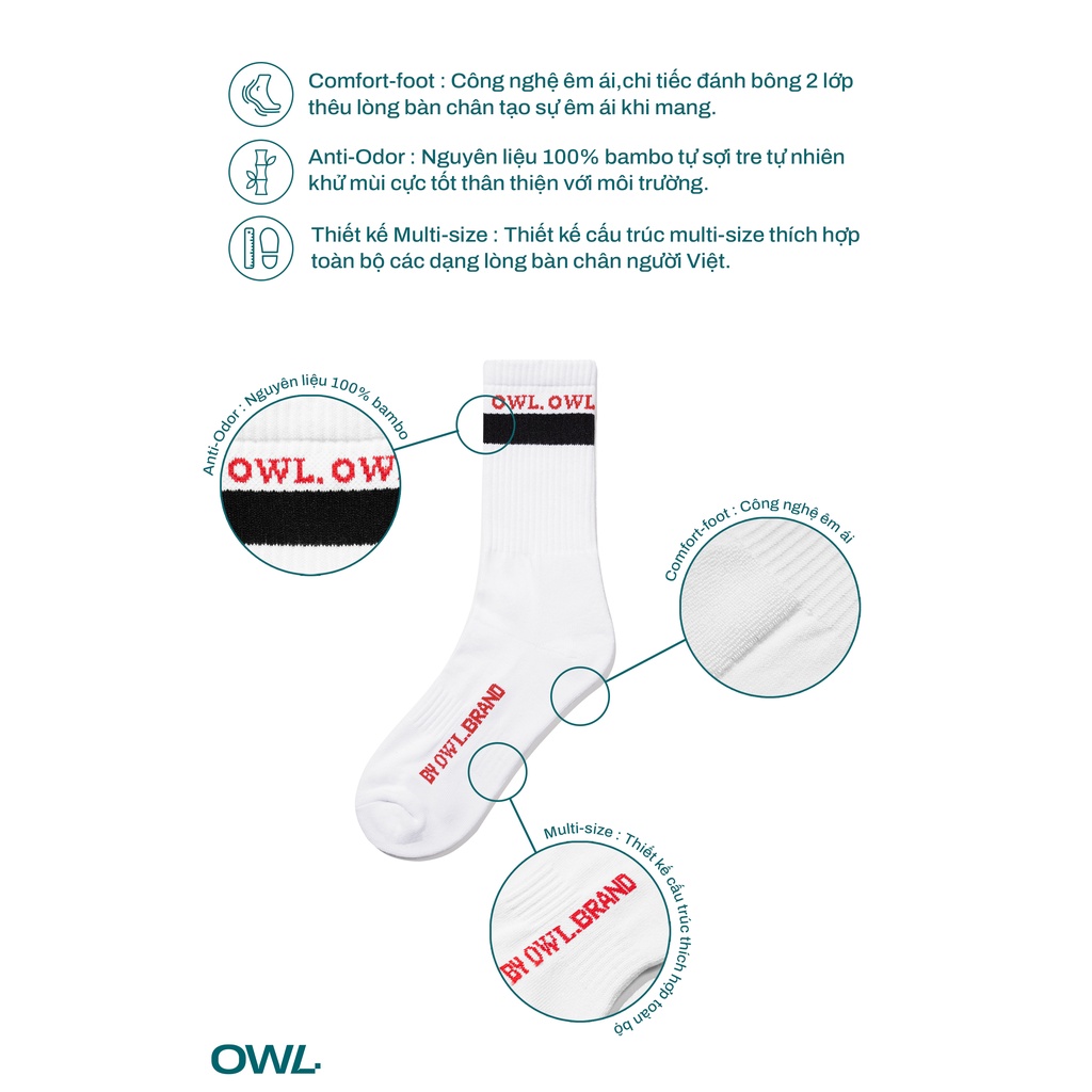 OWL BRAND® STRIPE SOCK - Combo hai tất cổ trung màu Trắng- OWL101121