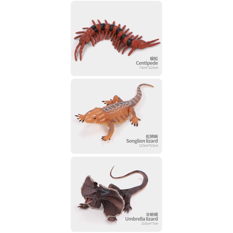 Bộ Đồ Chơi Mô Hình Côn Trùng Hoạt Hình Dành Cho Trẻ Em