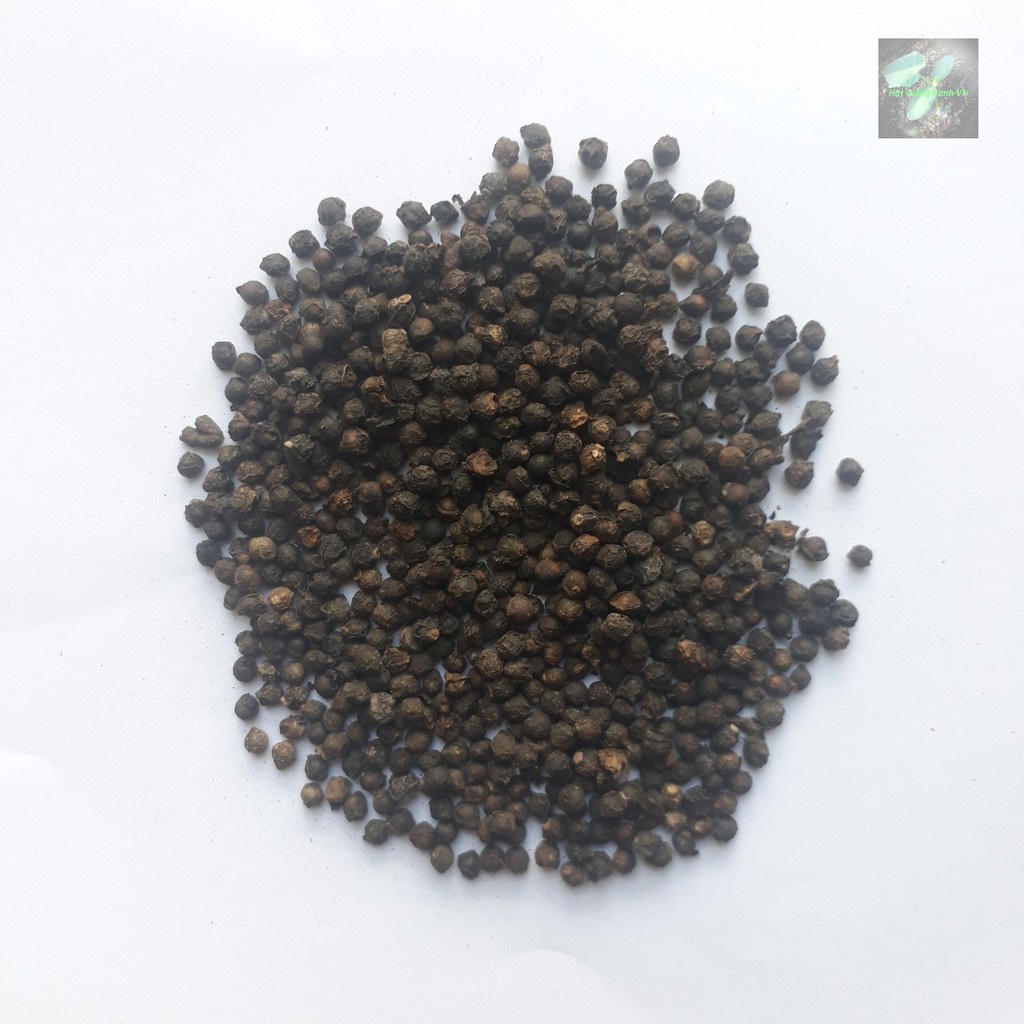 Hạt giống rau mồng tơi lá to 20 gr
