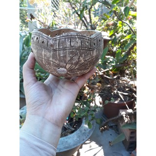 Chậu Gáo Dừa Kiểu