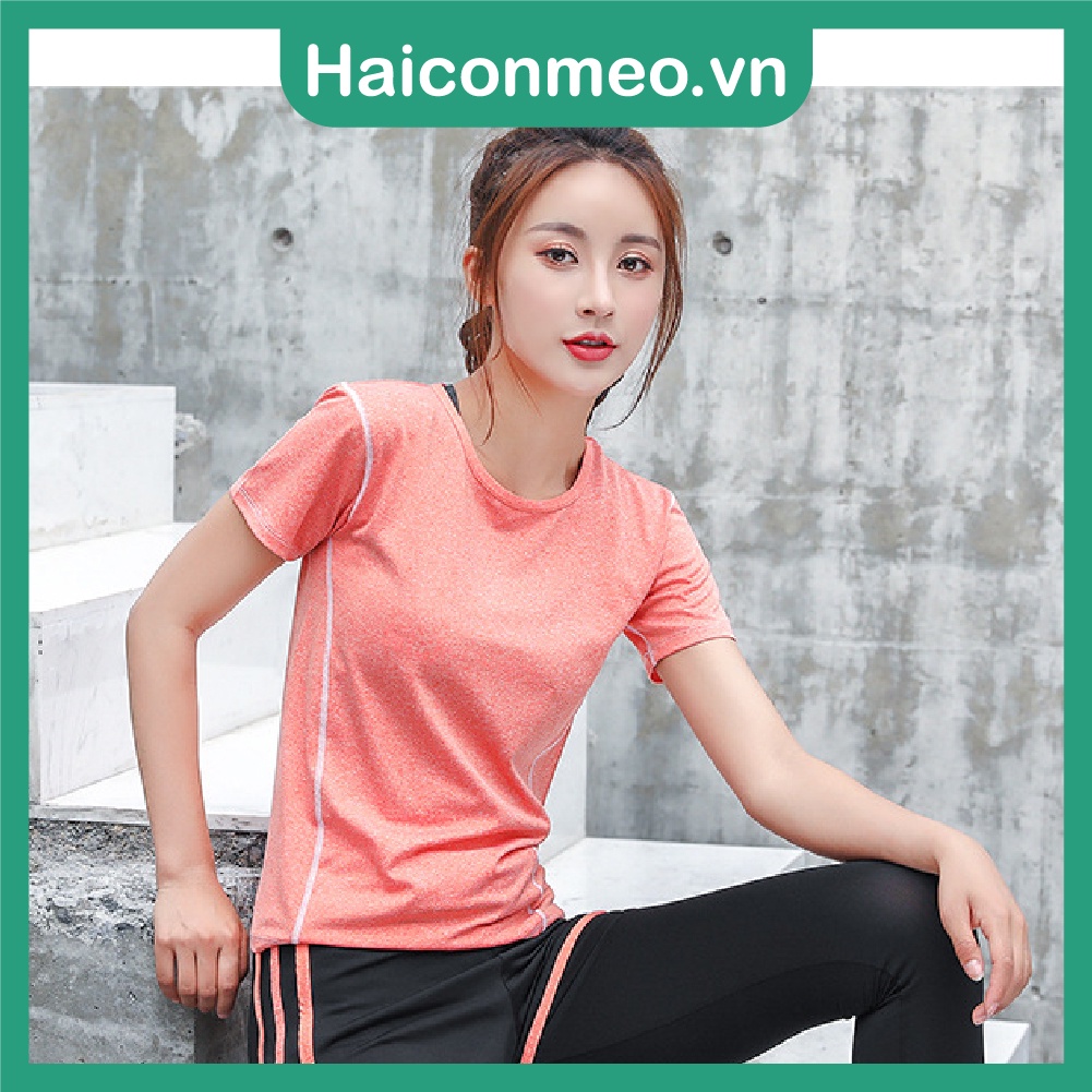 Áo thun thể thao nữ tập gym yoga co giãn thoáng khí