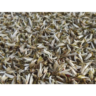 50g Bạch Trà Tiên ( Hà Giang )