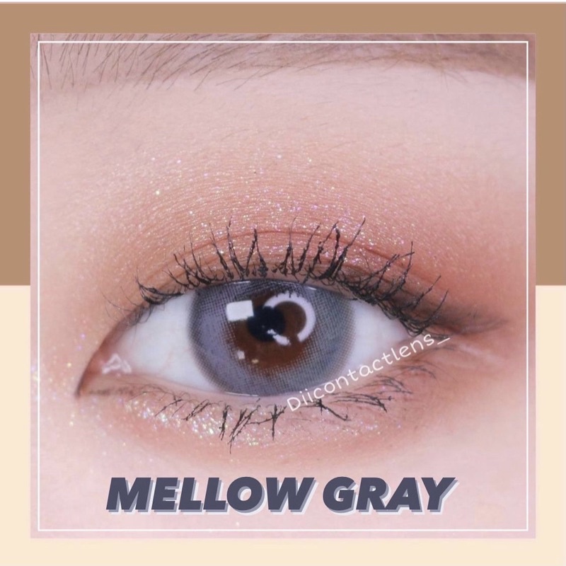 Kính áp tròng MELLOW GRAY