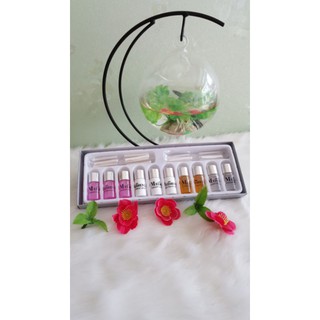 Uốn mi thảo dược