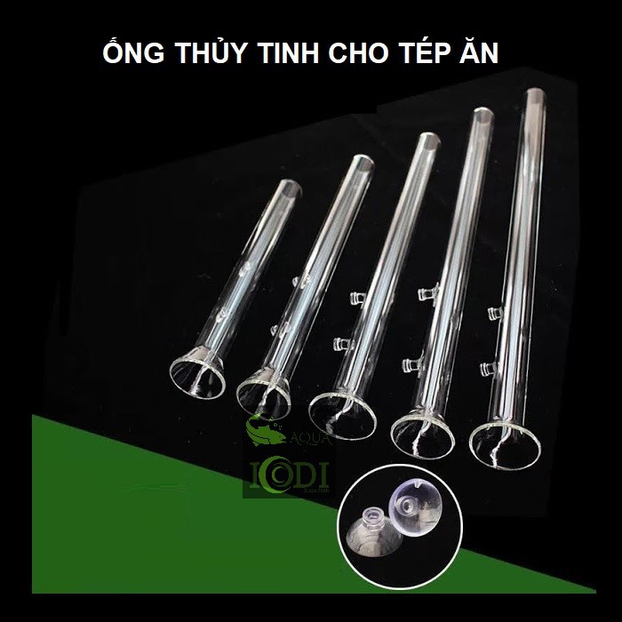 Ống Thủy Tinh Cho Cá Tép Ăn Bể Thủy Sinh - Bể Cá Cảnh