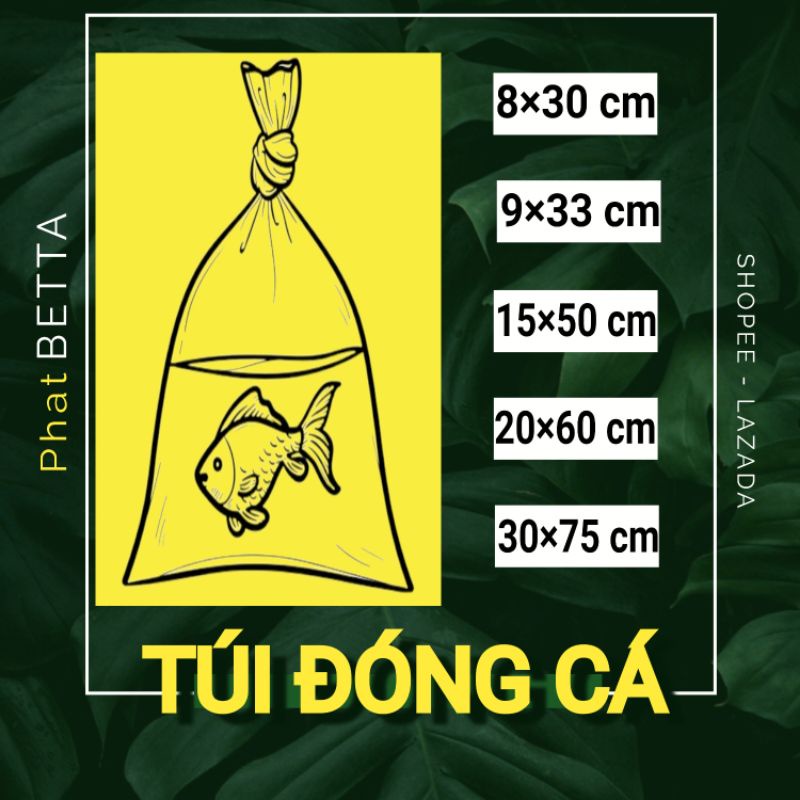 TÚI NILON ĐÓNG C Á. ĐA DẠNG KÍCH CỠ