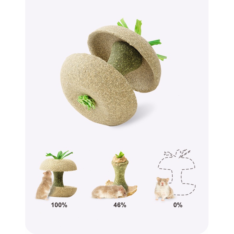 Bát ăn quả táo gặm dở Carno cho hamster