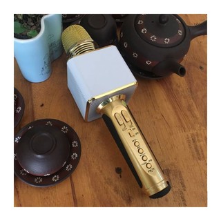 Micro hát karaoke sd09 âm cực chuẩn - bh 3 tháng - hoàng yến computer