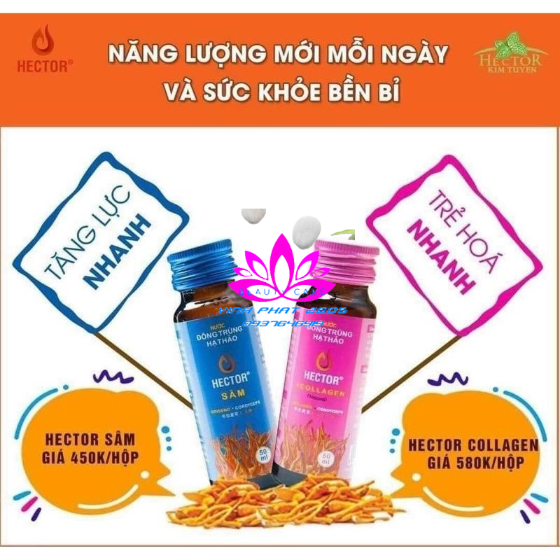 0✅Nước Đông Trùng Hạ Thảo Hector Collagen Hộp 10 Chai [Freeship] ❤️ Hector