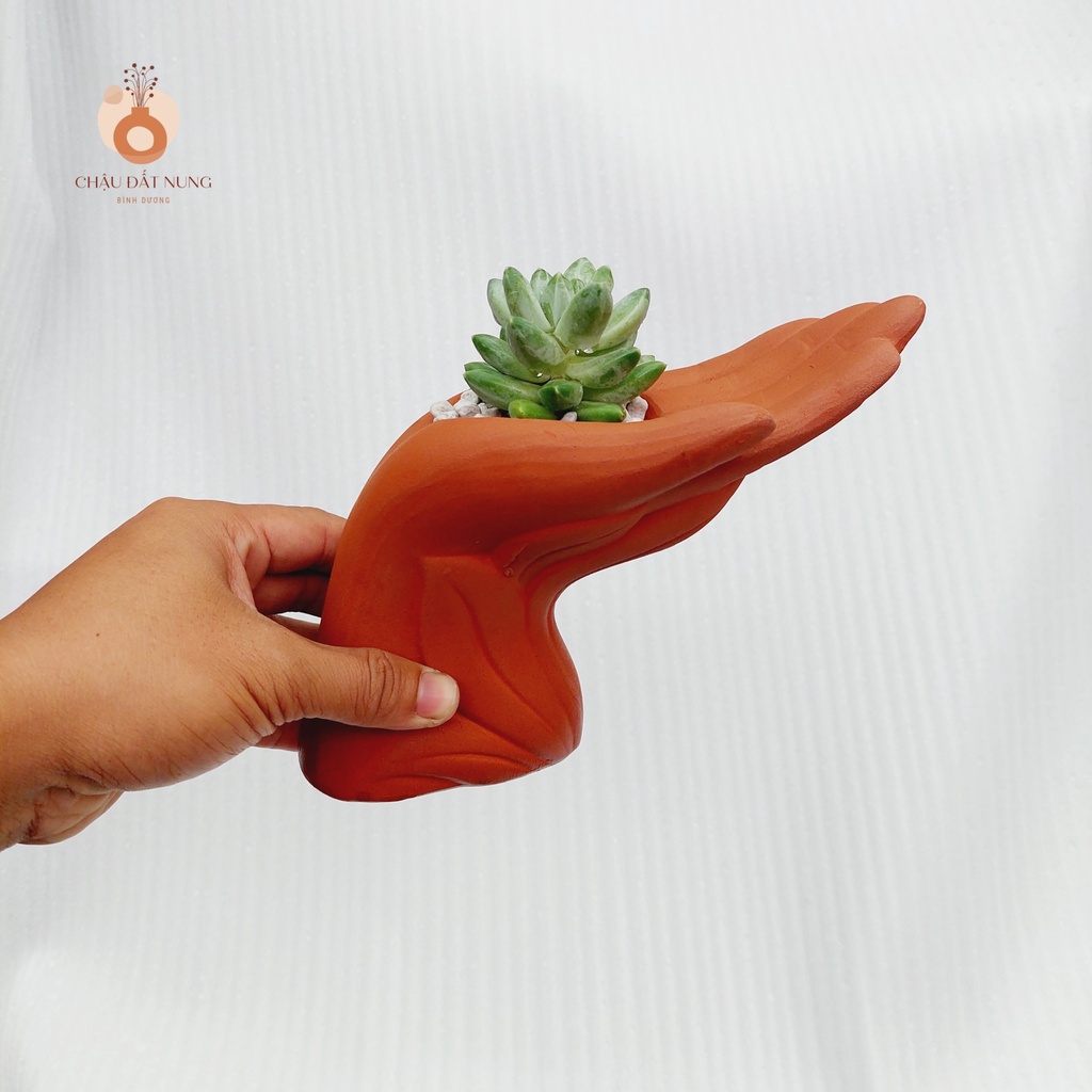 Chậu đất nung, Chậu sen đá - Bàn tay của người tôi yêu, miệng chậu 6cm, chiều cao 15cm