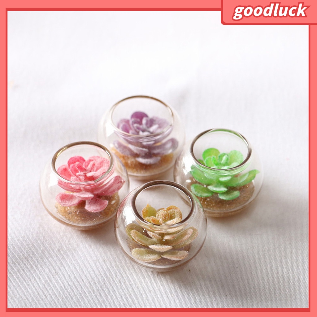 Đồ trang trí chậu cây mini màu sắc ngẫu nhiên trang trí bể cá