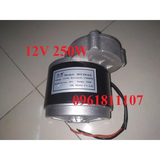 Motor giảm tốc 12V 250W