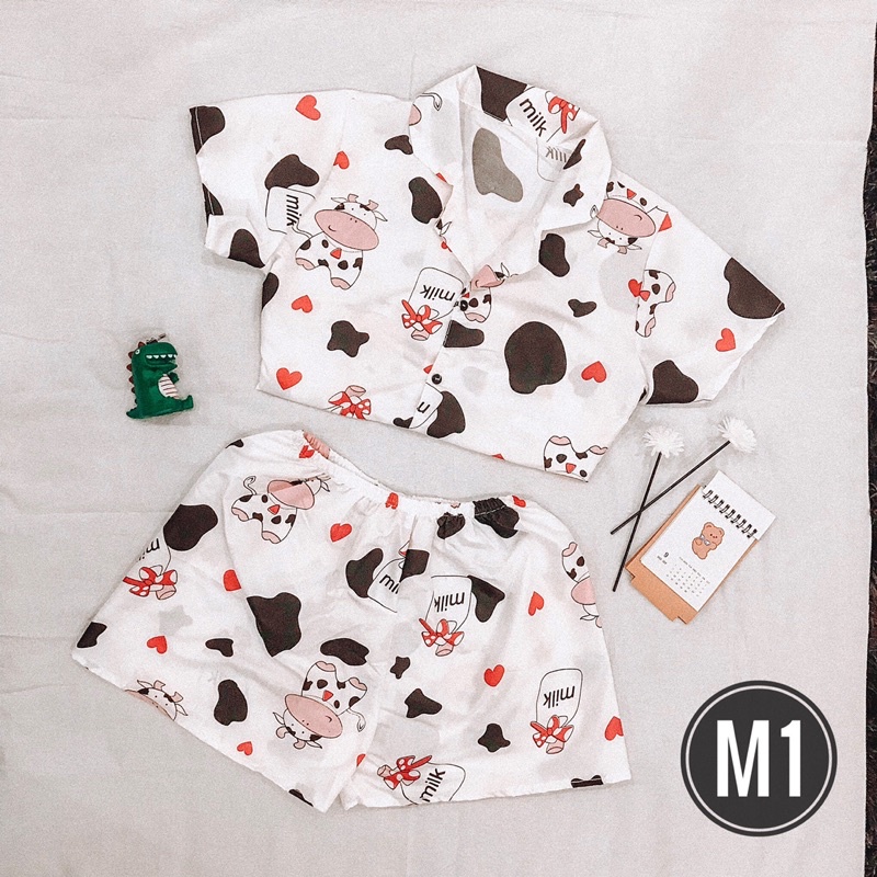 Bộ Ngủ Pijama Hàn Quốc Siêu Đáng Yêu