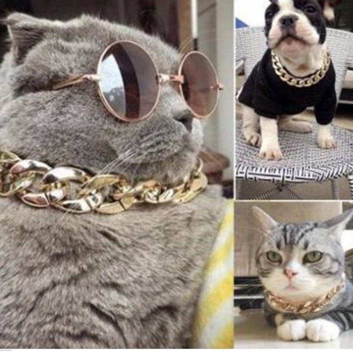 Dây chuyền mạ vàng cho chó mèo , Vòng cổ thú cưng , Julie Pet Shop