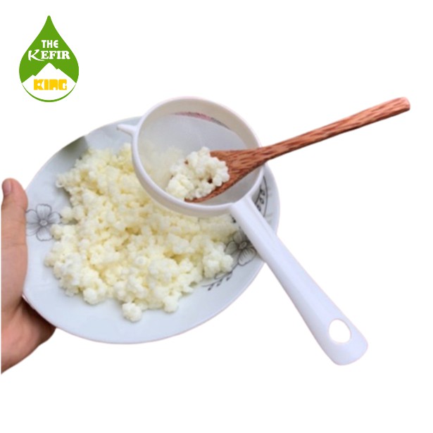 Hạt Sữa Kefir khởi động - Kefir Yogurt Starter Organic Ba Vì.